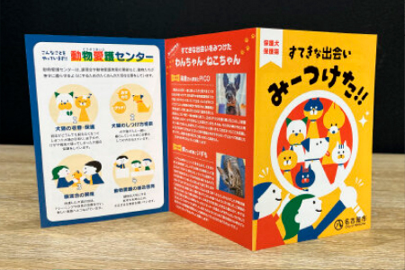 クリエイティブ